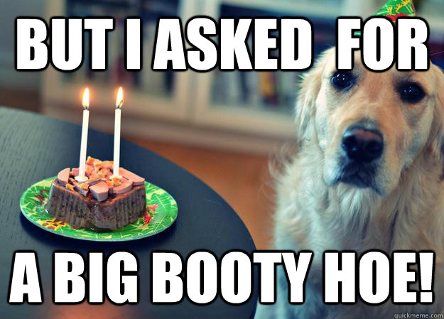 But i asked  for  a big booty hoe!  Sad Birthday Dog