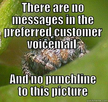 THERE ARE NO MESSAGES IN THE PREFERRED CUSTOMER VOICEMAIL  AND NO PUNCHLINE TO THIS PICTURE Misunderstood Spider