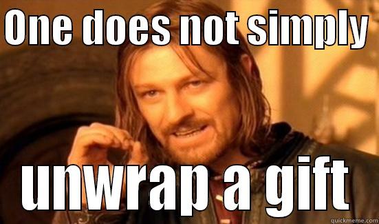 ONE DOES NOT SIMPLY  UNWRAP A GIFT Boromir