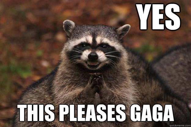 YES This pleases gaga  Evil Plotting Raccoon