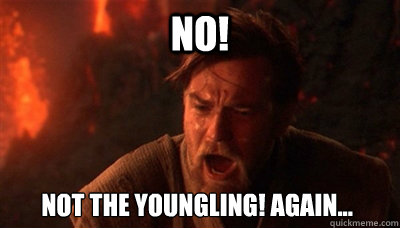 No! Not the youngling! Again...  Epic Fucking Obi Wan