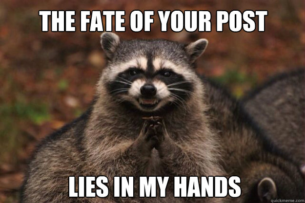 the fate of your post lies in my hands
  evil racoon