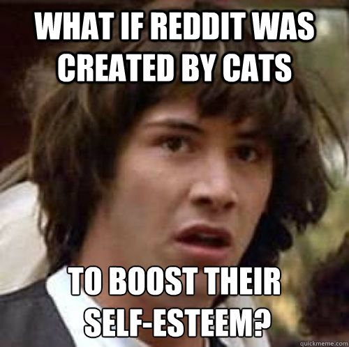 what if Reddit was created by cats to boost their
 self-esteem? - what if Reddit was created by cats to boost their
 self-esteem?  Misc