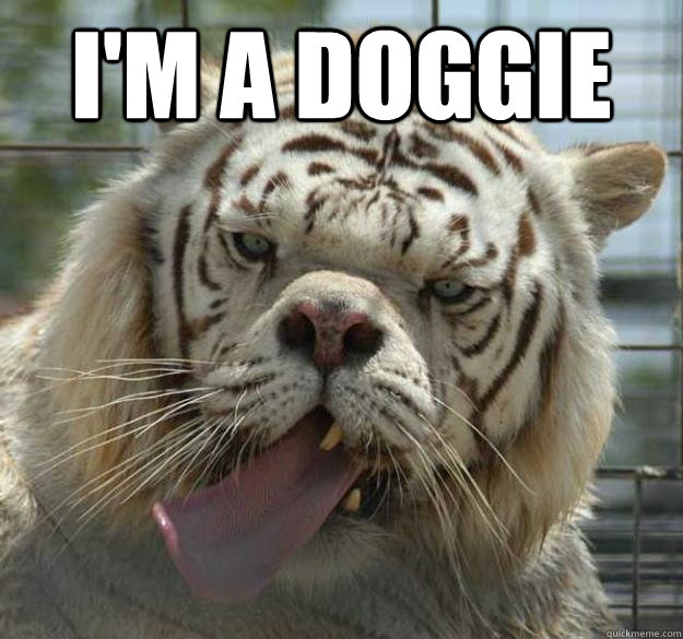 i'm a doggie   