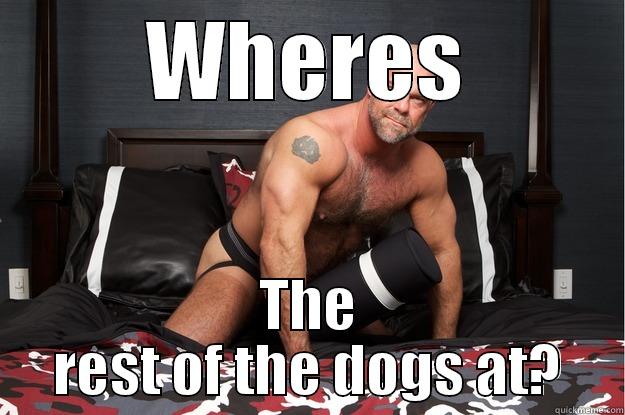 WHERES THE REST OF THE DOGS AT? Gorilla Man
