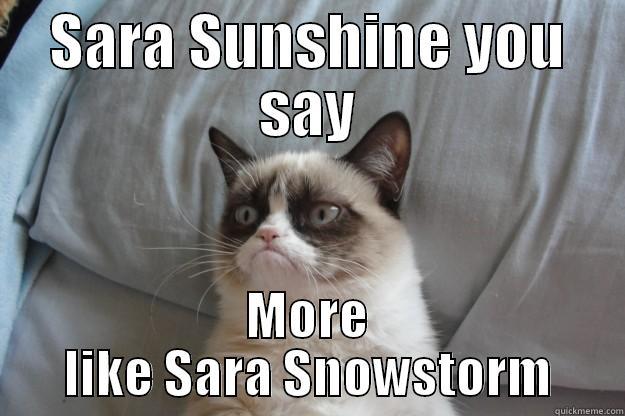 SARA SUNSHINE YOU SAY MORE LIKE SARA SNOWSTORM Grumpy Cat
