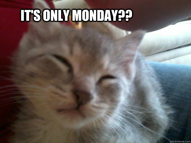 IT'S ONLY MONDAY?? - IT'S ONLY MONDAY??  Rollo