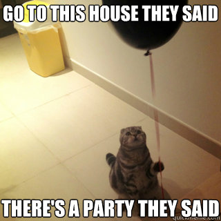 Go to this house they said There's a party they said - Go to this house they said There's a party they said  Sad Birthday Cat