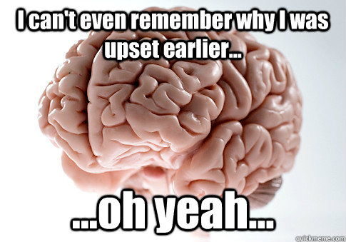 I can't even remember why I was upset earlier... ...oh yeah...   Scumbag Brain