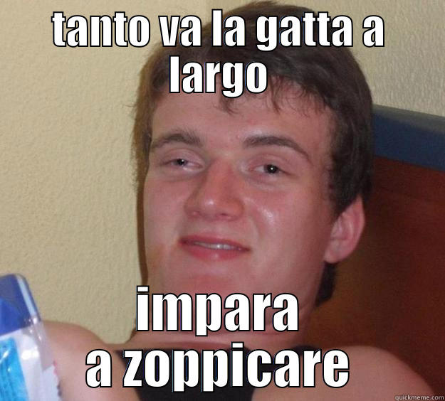 TANTO VA LA GATTA A LARGO IMPARA A ZOPPICARE 10 Guy