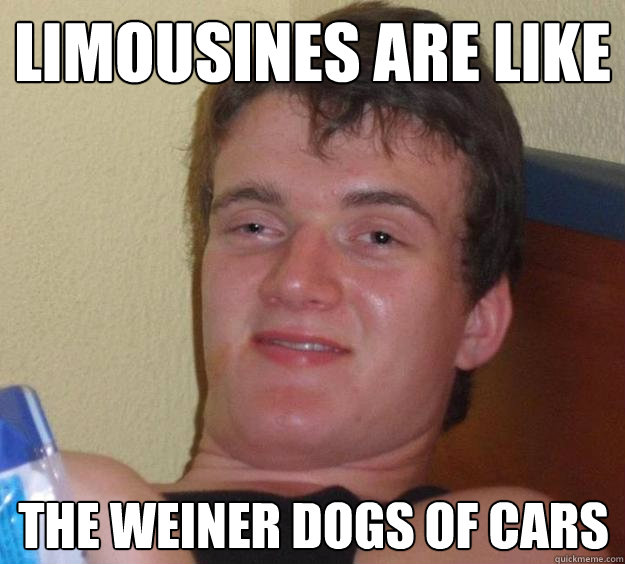 Limousines are like the weiner dogs of cars  10 Guy