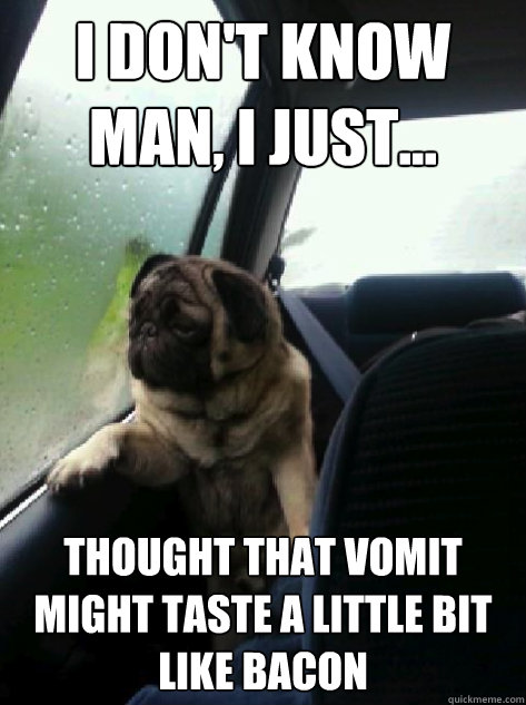 I don't know man, I just... Thought that vomit might taste a little bit like bacon  Introspective Pug