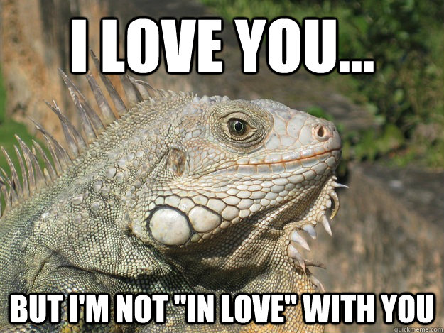i love you... but i'm not 