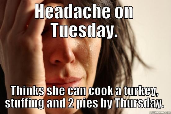 HEADACHE ON TUESDAY. THINKS SHE CAN COOK A TURKEY, STUFFING AND 2 PIES BY THURSDAY. First World Problems