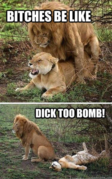  Bitches be like Dick too Bomb! -  Bitches be like Dick too Bomb!  Misc