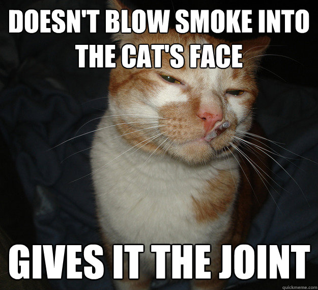 Doesn't blow smoke into the cat's face gives it the joint  Cool Cat Craig