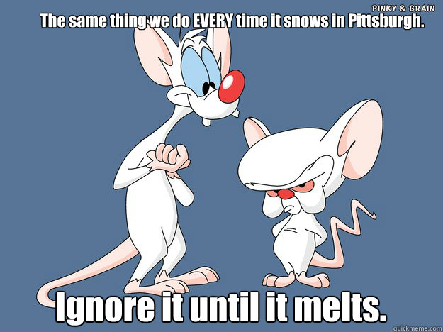 The same thing we do EVERY time it snows in Pittsburgh. Ignore it until it melts. - The same thing we do EVERY time it snows in Pittsburgh. Ignore it until it melts.  Pinky and the Brain