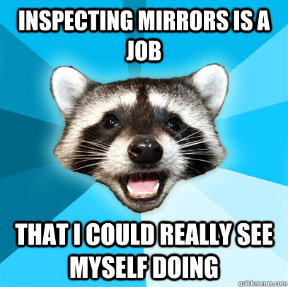 INSPECTING MIRRORS IS A JOB THAT I COULD REALLY SEE MYSELF DOING  Lame Pun Coon