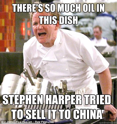 there's so much oil in this dish stephen harper tried to sell it to china  gordon ramsay