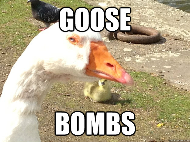 GOOSe bombs  distrustful goose