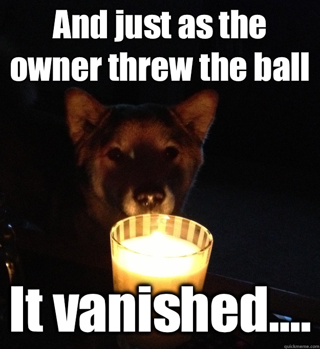 And just as the owner threw the ball It vanished....  Scary Story Dog