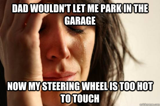 dad wouldn't let me park in the garage now my steering wheel is too hot to touch  First World Problems