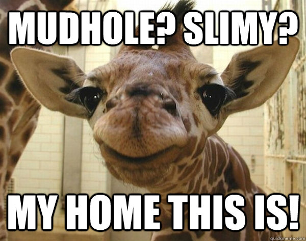 Mudhole? Slimy? My home this is! - Mudhole? Slimy? My home this is!  Misc