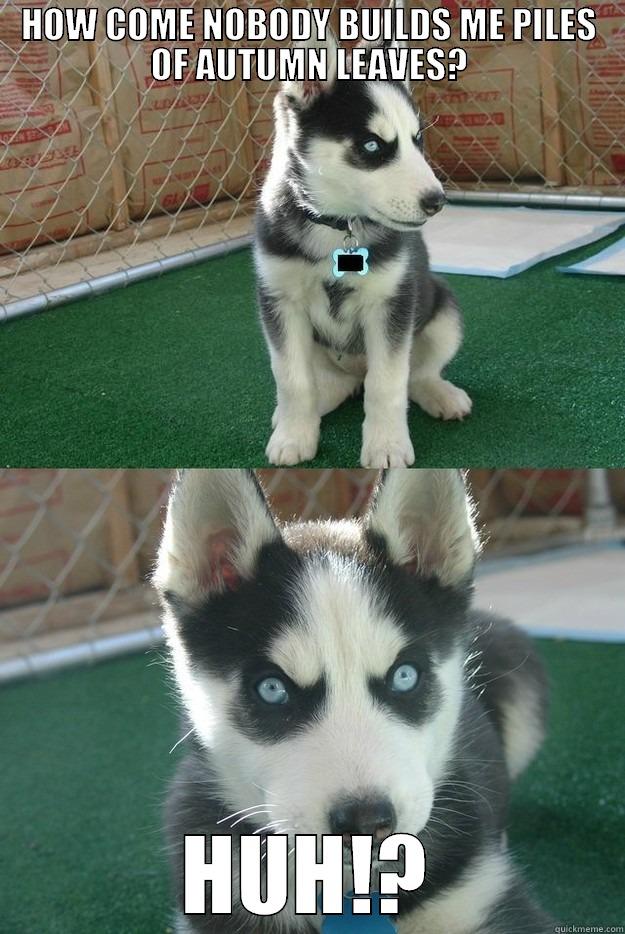 HOW COME NOBODY BUILDS ME PILES OF AUTUMN LEAVES? HUH!? Insanity puppy