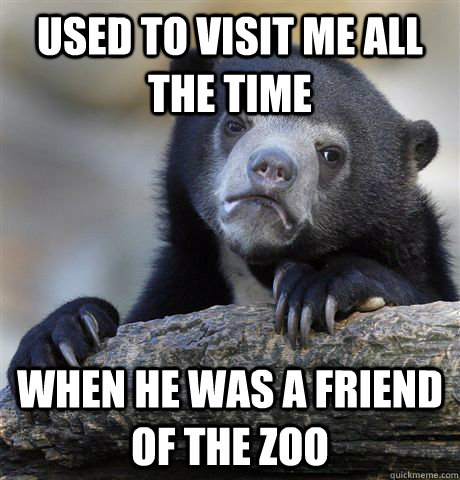 Used to visit me all the time When he was a friend of the zoo  Confession Bear