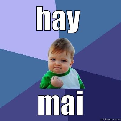 HAY  MAI Success Kid