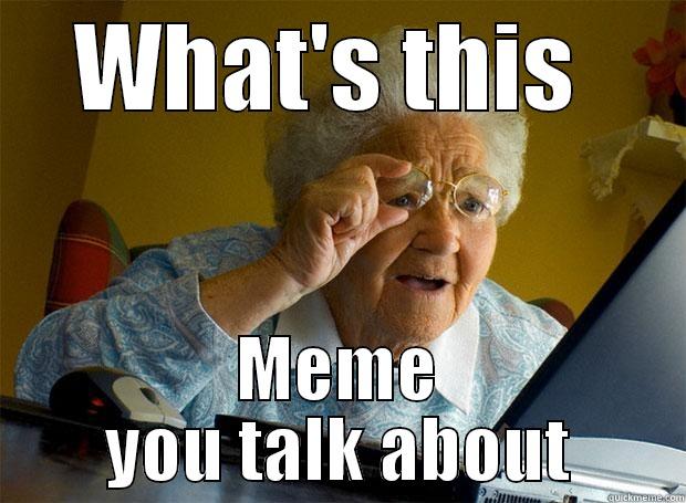 Meme grandma - WHAT'S THIS  MEME YOU TALK ABOUT Grandma finds the Internet