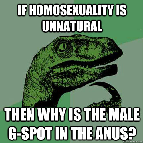 If homosexuality is unnatural Then why is the male g-spot in the anus?  Philosoraptor