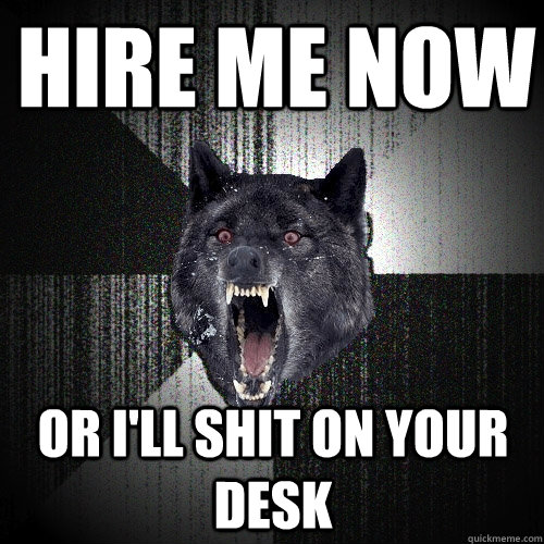 Hire me now or i'll shit on your desk  Insanity Wolf