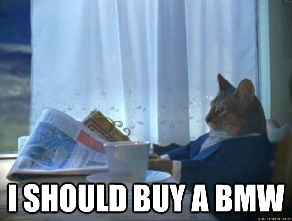  I should buy a BMW  morning realization newspaper cat meme