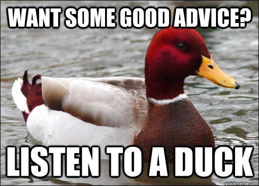 want some good advice? listen to a duck  Malicious Advice Mallard