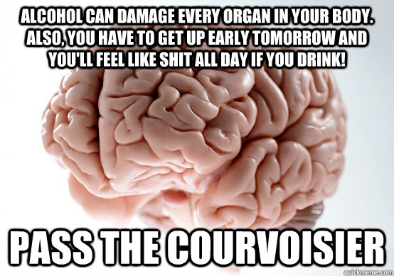 Alcohol can damage every organ in your body.  also, you have to get up early tomorrow and you'll feel like shit all day if you drink! Pass the Courvoisier - Alcohol can damage every organ in your body.  also, you have to get up early tomorrow and you'll feel like shit all day if you drink! Pass the Courvoisier  Scumbag brain on life