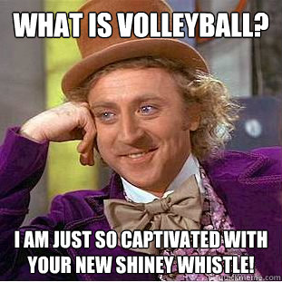 what is volleyball? i am just so captivated with your new shiney whistle! - what is volleyball? i am just so captivated with your new shiney whistle!  Condescending Wonka