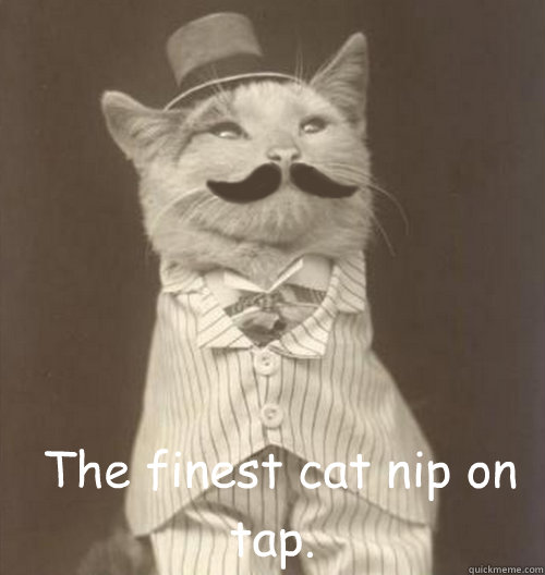   The finest cat nip on tap. -   The finest cat nip on tap.  Original Business Cat