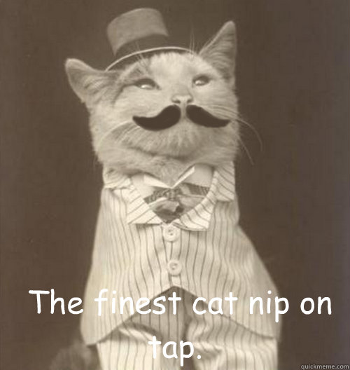   The finest cat nip on tap.  Original Business Cat