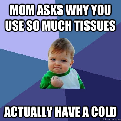 Mom asks why you use so much tissues Actually have a cold  Success Kid