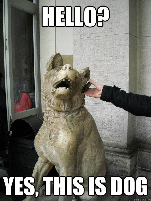 Hello? Yes, this is dog - Hello? Yes, this is dog  Misc