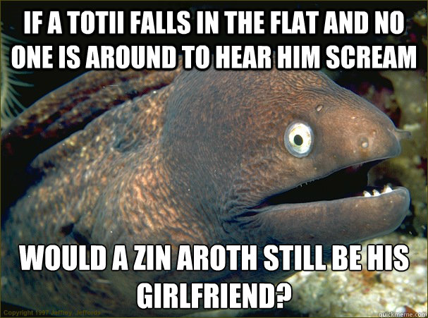 If a totii falls in the flat and no one is around to hear him scream would a zin aroth still be his girlfriend?  Bad Joke Eel