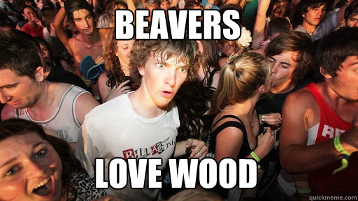 Beavers
 love wood  Sudden Clarity Clarence