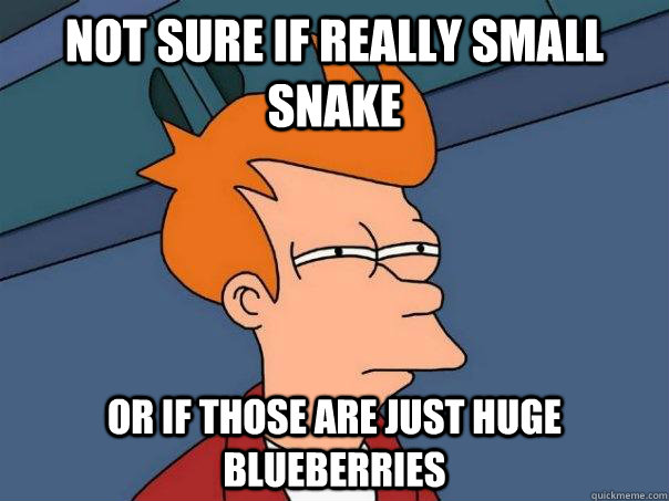 Not sure if really small snake or if those are just huge blueberries  Futurama Fry