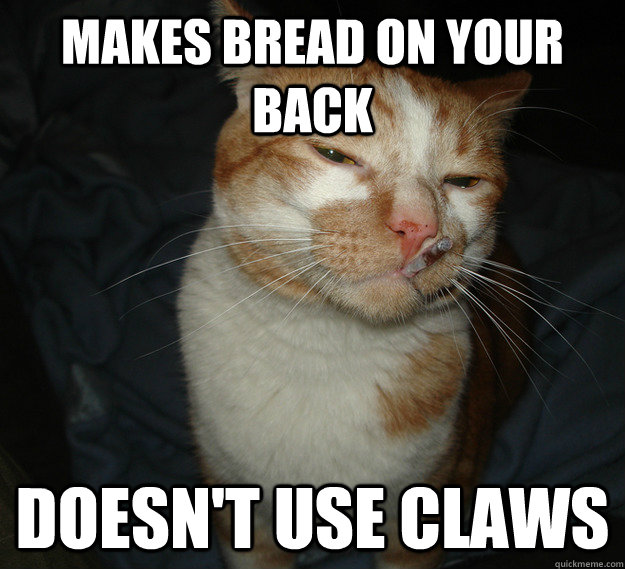 Makes Bread on your Back Doesn't use claws  Cool Cat Craig