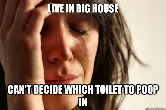 Live in big house can't decide which toilet to poop in  First World Problems