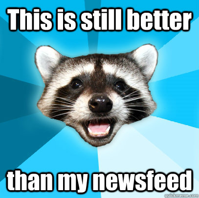 This is still better than my newsfeed  Lame Pun Coon