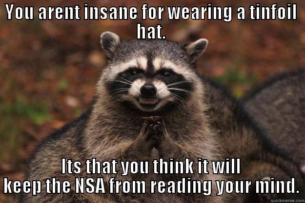 Definition of Insanity - YOU ARENT INSANE FOR WEARING A TINFOIL HAT. ITS THAT YOU THINK IT WILL KEEP THE NSA FROM READING YOUR MIND. Evil Plotting Raccoon