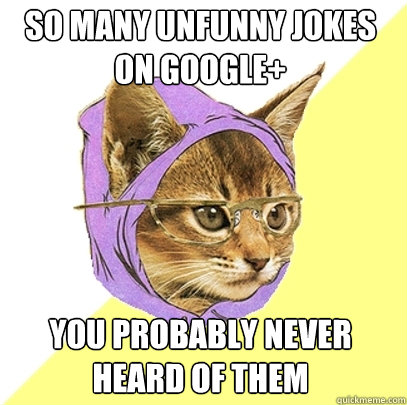 So many unfunny jokes on google+ You probably never heard of them  Hipster Kitty