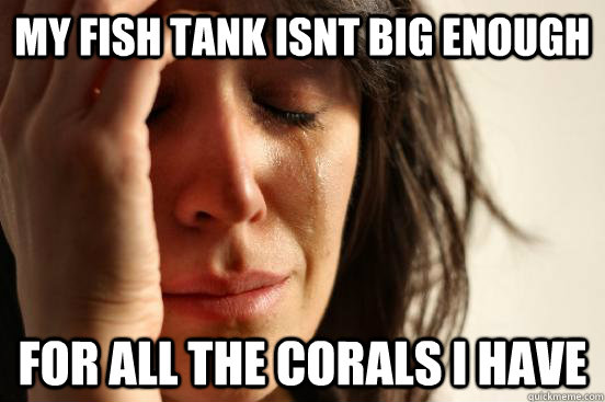 my fish tank isnt big enough  for all the corals i have  First World Problems